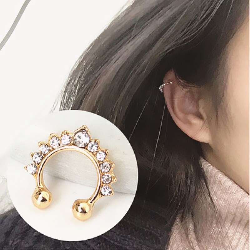 Body Jewelry And Earrings - Faux anneaux et goujons antarctiques en