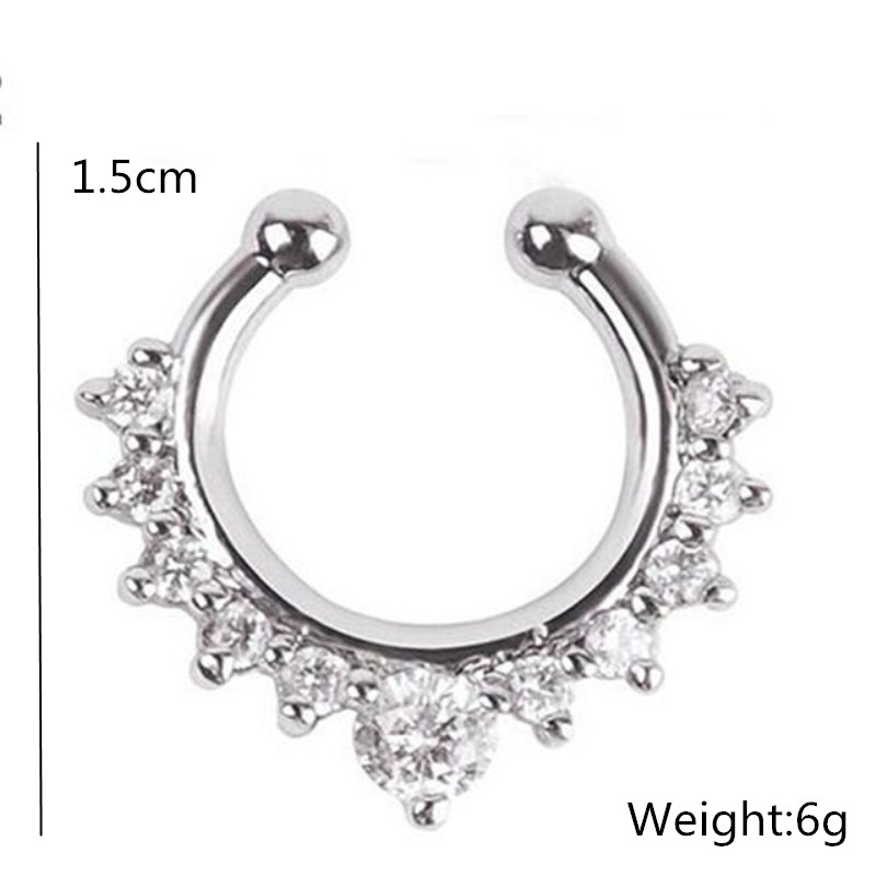 Faux anneaux et goujons antarc - Body Jewelry And Earrings avis et prix