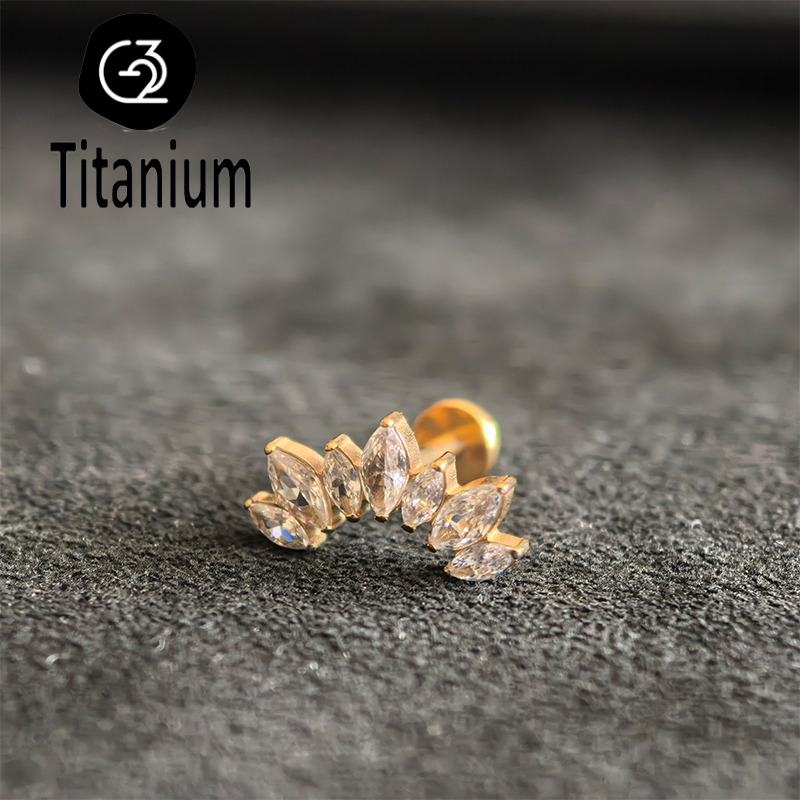 ASTM F136 G23 titane Piercing  - Zoor Body Jewelry avis et prix
